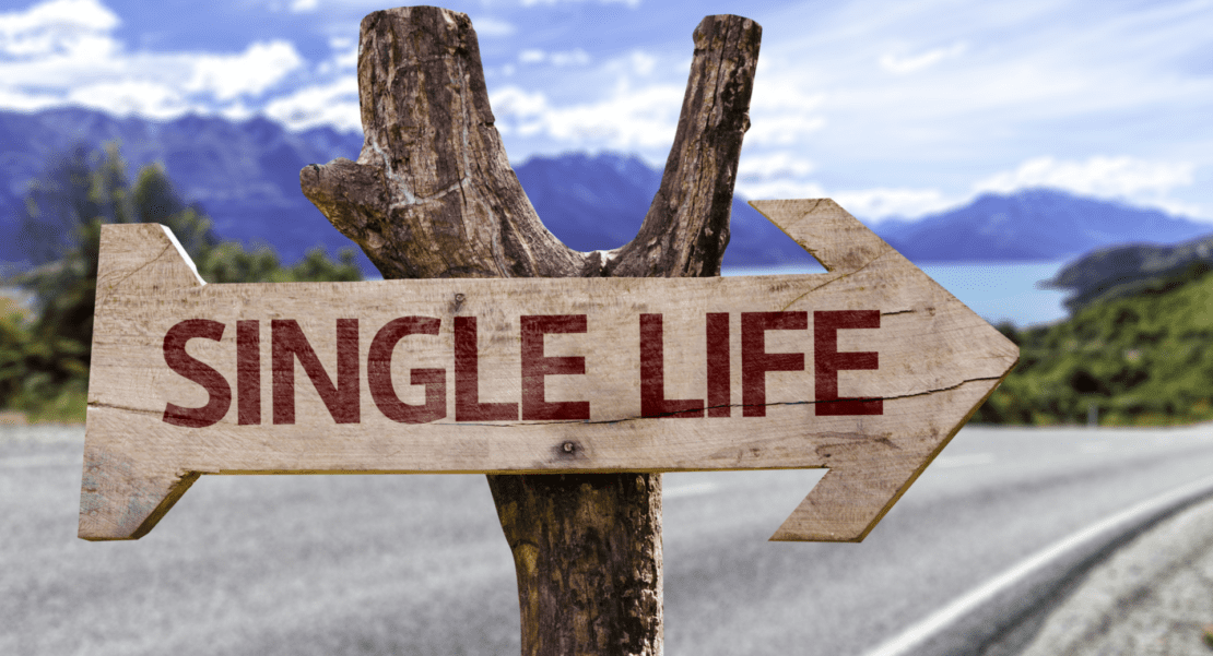 Single Life wooden sign with a road background